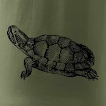 Ceruzkou kreslená korytnačka