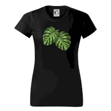 Monstera - dva listy