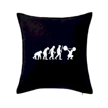 Evolution fitness Evolution fitness