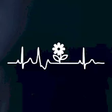 EKG záhrada - kvietok EKG záhrada - kvietok