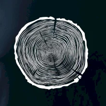 Letokruhy 80 bez veku Letokruhy 80 bez veku