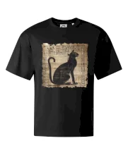 Egyptské hieroglyfy mačka