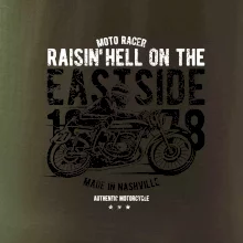 Raisin Hell Moto Racer