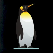 Tučniak so žltou nákrčenkou