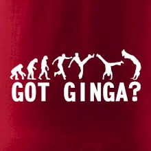 Capoeira - Got Ginga