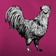 Kohút kreslený čiernobiely