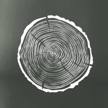 Letokruhy 40 bez veku