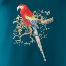 Papagáj  na listnatom strome