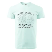 What exactly didn't you understand - physics