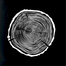 Letokruhy 75 bez veku Letokruhy 75 bez veku