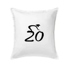 Cyklista oslavuje dvadsiatku (20)