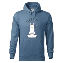 Yoga Llamaste Yoga Llamaste