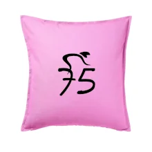 Cyklista oslavuje sedemdesiatpäťpäťky (75)