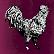 Kohút kreslený čiernobiely