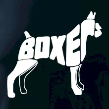 Boxer nápis v tele Boxer nápis v tele