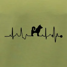 Shiba-Inu EKG