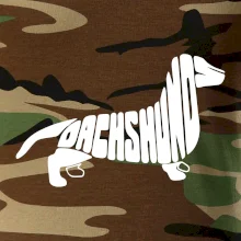 Jazvečík - Dachshund