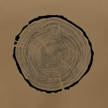 Letokruhy 85 bez veku