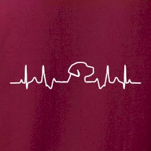 Labradorský retriever‎ EKG