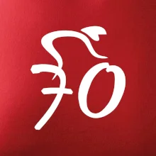 Cyklista oslavuje sedemdesiatku (70)