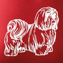 Shih-tzu - chlpatý Shih-tzu - chlpatý