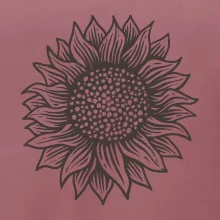 Slnečnica kreslená čiernobiela