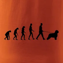 Evolúcia pes Briard