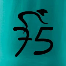 Cyklista oslavuje sedemdesiatpäťpäťky (75)