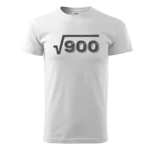 Narodeniny odmocniny 30 Narodeniny odmocniny 30