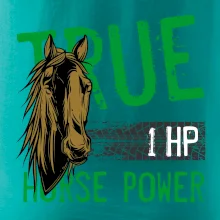 True Horse Power 1 HP True Horse Power 1 HP