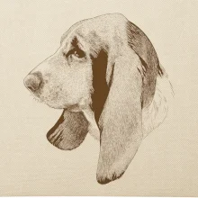Basset - kreslená hlava