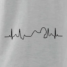 Shih-tzu ekg obrys Shih-tzu ekg obrys