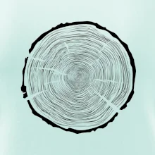 Letokruhy 100 bez veku Letokruhy 100 bez veku