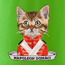 Napoleon domáci mačka
