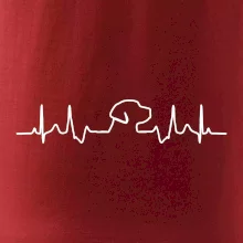 Labradorský retriever‎ EKG