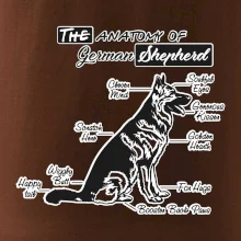 Nemecký ovčiak - Anatómia