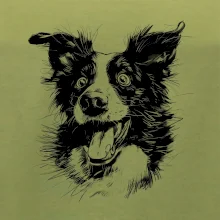 Čiernobiela karikatúra Border kólia