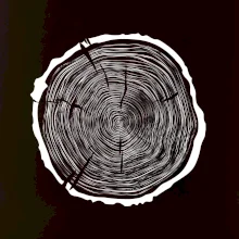 Letokruhy 70 bez veku