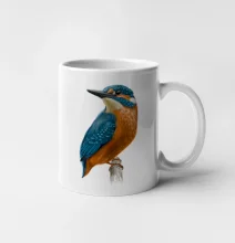 Ľadnáčik kreslený