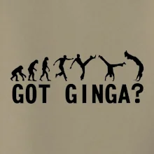 Capoeira - Got Ginga