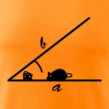 Matematická myš Matematická myš