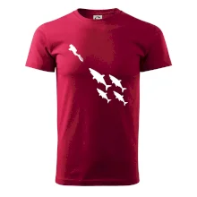 Potápač žraloky Potápač žraloky