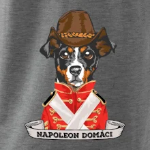 Napoleon domáci kríženec