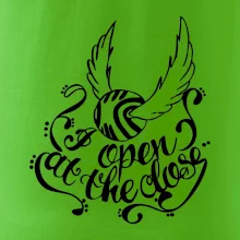 Harry - Zlatá strela