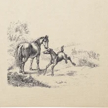 Kôň a žriebä maľované