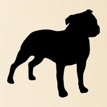 Americký stafordšírsky teriér Na prsníku