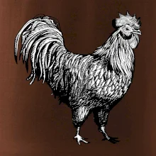 Kohút kreslený čiernobiely