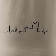 Yorkshirský teriér EKG Yorkshirský teriér EKG