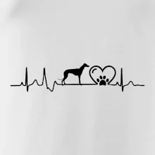 Chrt - Ekg Chrt - Ekg