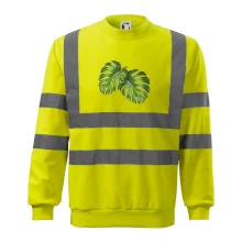 Monstera - dva listy Monstera - dva listy